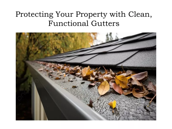 protecting your property with clean functional gutters