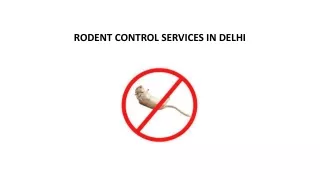 RODENT CONTROL SERVICES IN DELHI