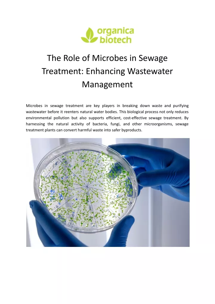 the role of microbes in sewage treatment