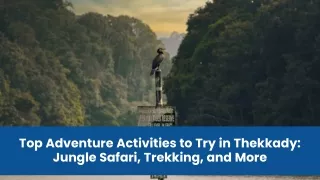 Top Adventure Activities to Try in Thekkady - Jungle Safari, Trekking, and More