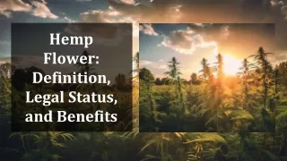 Hemp Flower: Definition, Legal Status, and Benefits