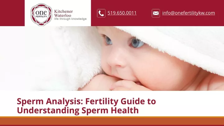 sperm analysis fertility guide to understanding