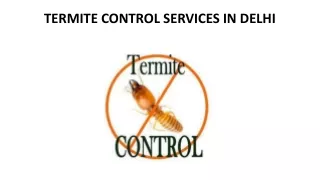 TERMITE CONTROL SERVICES IN DELHI