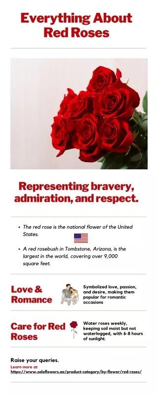 Everything about Red Roses Infographic