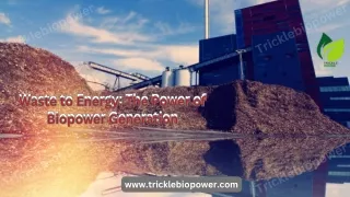 Biopower: Clean Energy from Organic Sources