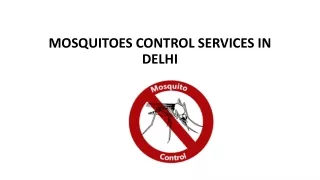 MOSQUITOES CONTROL SERVICES IN DELHI