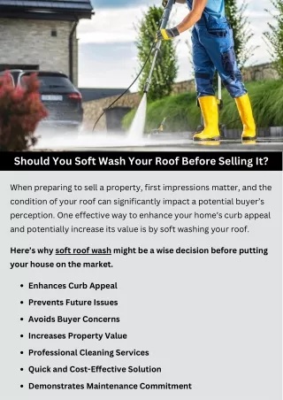 Should You Soft Wash Your Roof Before Selling It?