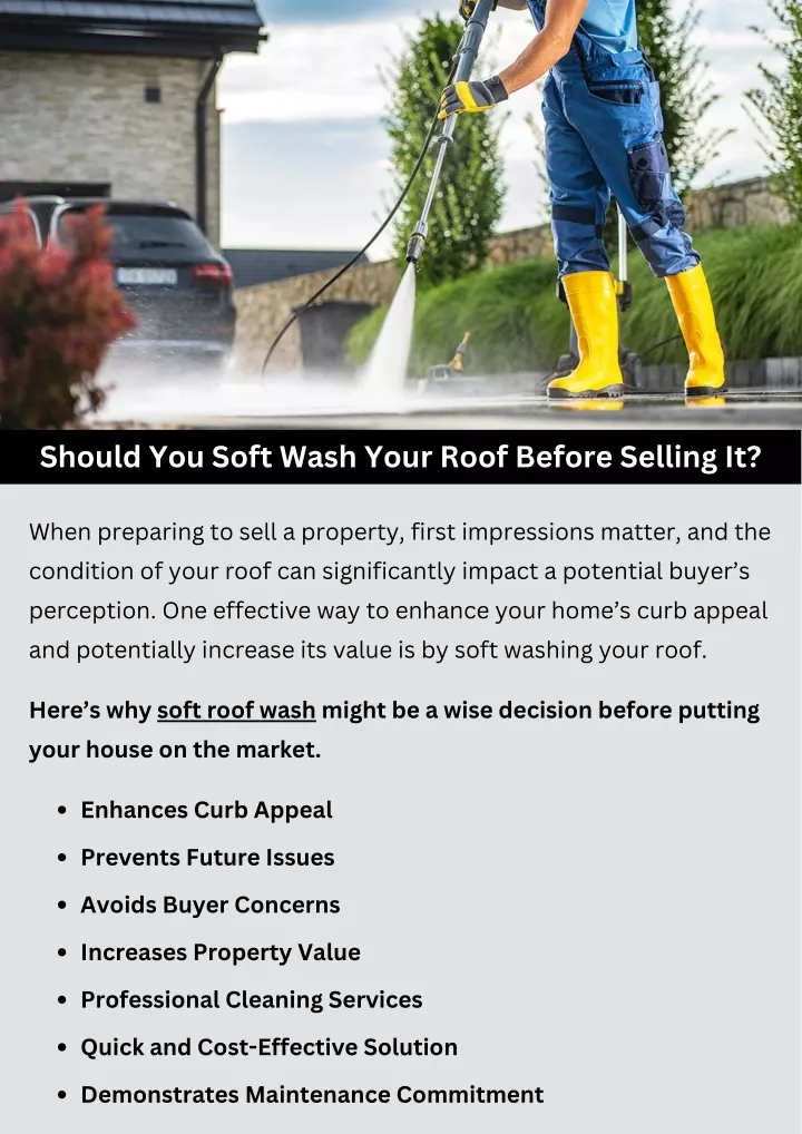 should you soft wash your roof before selling it