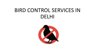 BIRD CONTROL SERVICES IN DELHI