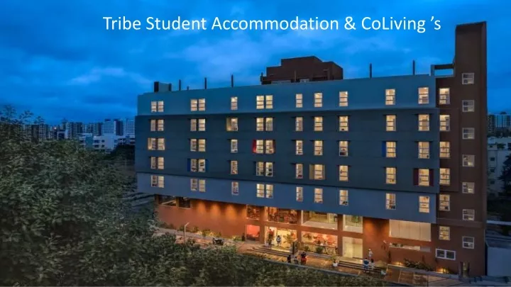 tribe student accommodation coliving s