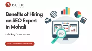 Benefits of Hiring an SEO Expert in Mohali