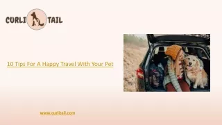 10 Tips for a Happy Travel With your Pet