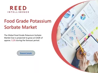 Food Grade Potassium Sorbate Market