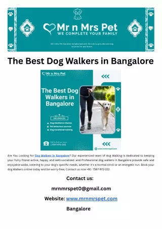 The Best Dog Walkers in Bangalore