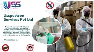 Hire Pest Control Services in Jaipur