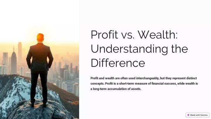 profit vs wealth understanding the difference