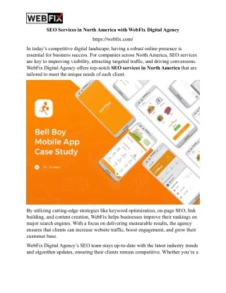 SEO Services in North America with WebFix Digital Agency