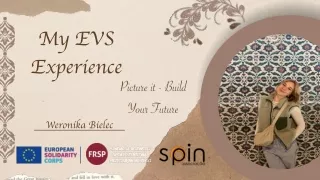 my evs experience