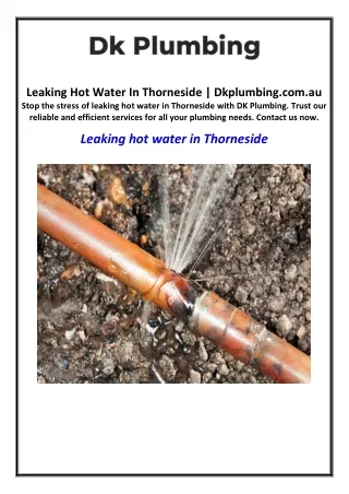 Leaking Hot Water In Thorneside | Dkplumbing.com.au