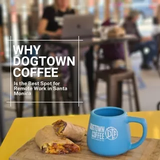 Why Dogtown Coffee Is the Best Spot for Remote Work in Santa Monica