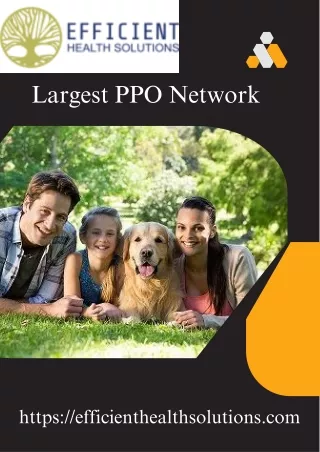 largest ppo network