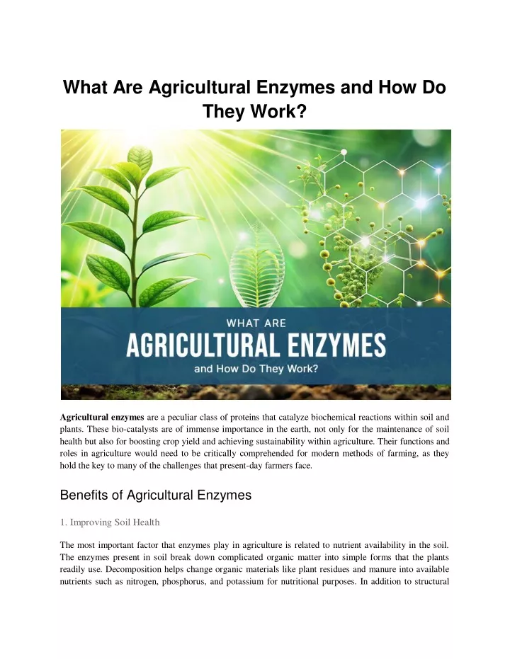 what are agricultural enzymes and how do they work