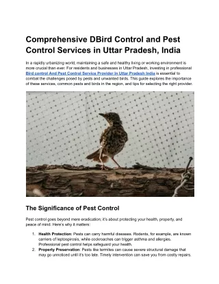 Comprehensive DBird Control and Pest Control Services in Uttar Pradesh, India