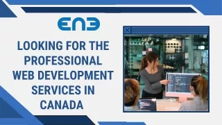 looking for the professional web development