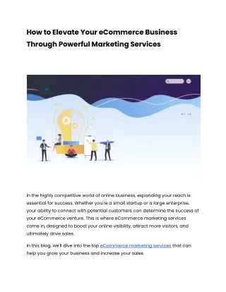 Ecommerce marketing services