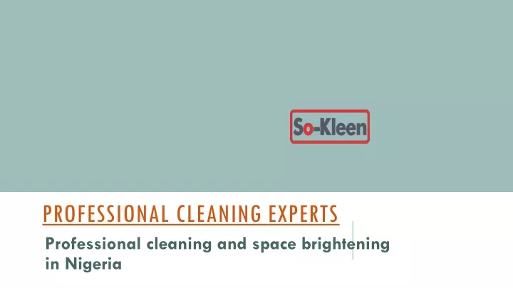 professional cleaning experts