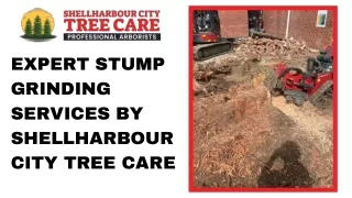 expert stump grinding services by shellharbour