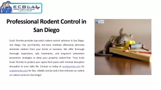 Professional-Rodent-Control-in-San-Diego - Ecola Termite