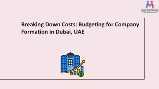 Breaking Down Costs: Budgeting for Company Formation in Dubai, UAE