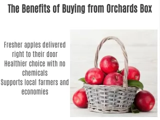 Explore Premium Apples from Our Orchards: Fresh and Flavourful