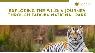 exploring the wild a journey through tadoba national park