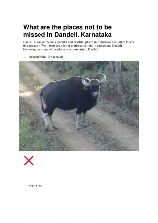 what are the places not to be missed in dandeli