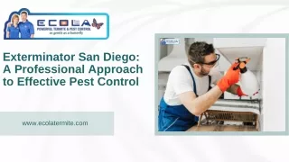 Exterminator San Diego: A Professional Approach to Effective Pest Control