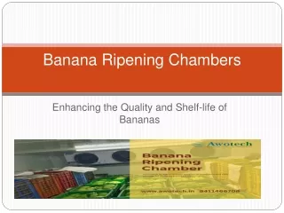 Banana Ripening Chambers Manufacturer -awotech