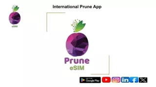 international prune app