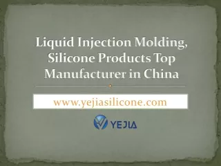 Liquid Injection Molding- Silicone Products Top Manufacturer in China
