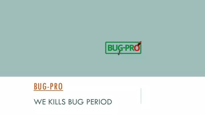 bug pro