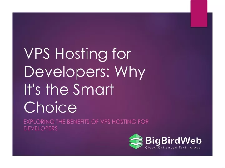 vps hosting for developers why it s the smart choice