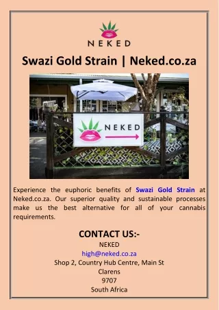 Swazi Gold Strain  Neked.co.za