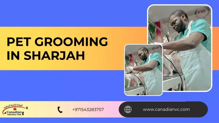 pet grooming in sharjah