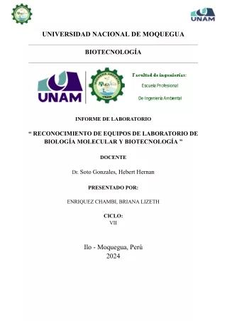 informe de laboratorio-briana enriquez