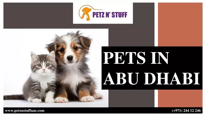 pets in abu dhabi