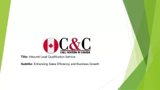 Inbound Lead Qualification Service