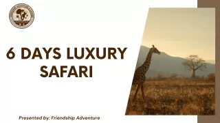 6 Days Luxury Safari - Friendship Adventure