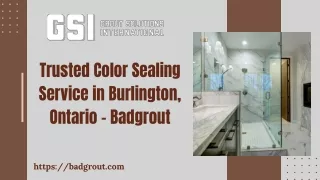 Trusted Color Sealing Service in Burlington, Ontario – Badgrout