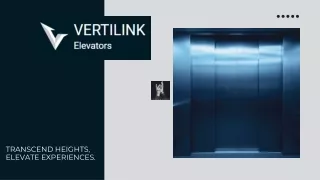Vertilink Freight Elevator